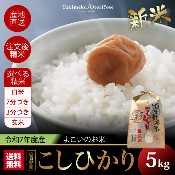 よこいのお米 近江米 5kg