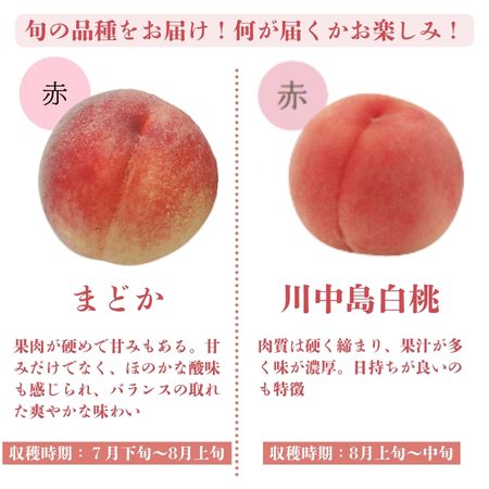 フルーツ :: 《数量限定》岡山県の桃 2kg 箱（6～8玉入り） 最高級品