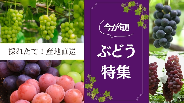 フルーツ・果物 :: 【農園直送】巨峰 2kg ｜贈答用 プレゼント 低農薬